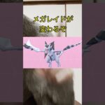 【ポケモンGO】今日からメガレイドがメガプテラに変わったぞ！！ #ポケモン #ポケモンgo #色違い #プテラ #レイド
