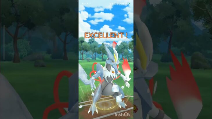 ポケモンGOバトルリーグ　マスターリーグ 1857