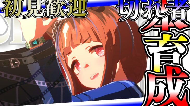 【ウマ娘】ダートチャンミ本育成！！！切れ者温泉トランセンドやるぞー！！！/チャンミ暫定メンバー：トランセンド・エスポワールシチー・ヴィクトワールピサ