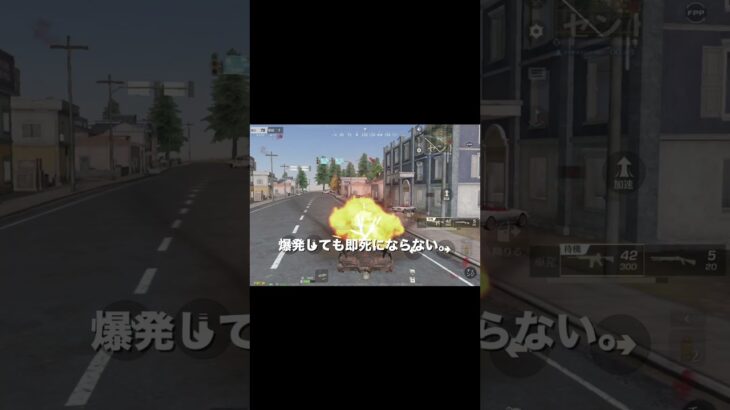 知らないと損する車の豆知識【荒野行動】