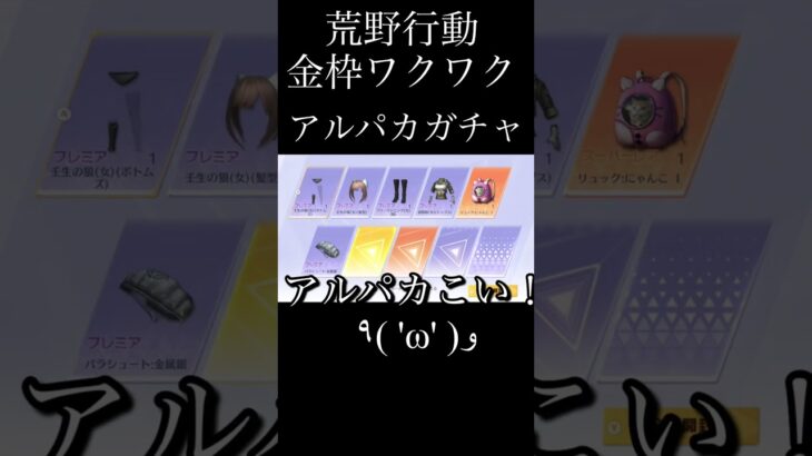 Switch荒野行動 金枠ワクワク アルパカガチャ knives out