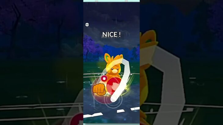 パーモット引きからの強烈インファイト！ #Shorts #gbl  #ポケモンGO