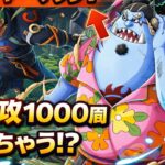 【トレクル】【トレジャーマップ】1000周可能！無特攻攻略！