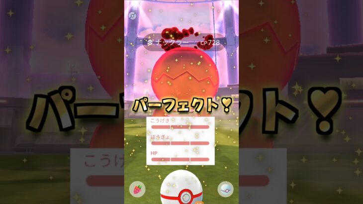 Dナックラー１３戦♪電気受け最強を狙え!!【ポケモンGO】