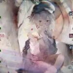 【メメントモリ】メインクエスト55-33～55-40