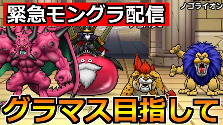 【ドラクエウォーク】初日グラマスタッチをしたいところ！モングラ本格参戦していくぞ！