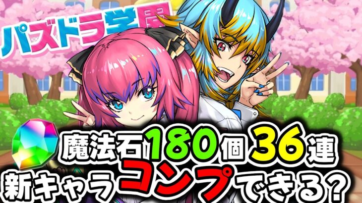【パズドラ学園】2026年の学園は13体も新キャラ追加!? 学園ガチャ36連した結果!!【パズドラ】
