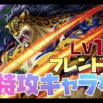 【トレジャークルーズ】【攻略】新特攻キャラ無し編成で攻略!!海賊王への軌跡vsルッチLv150を攻略です