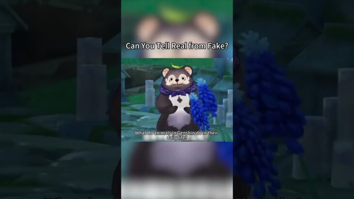 Can You Tell Real from Fake? #genshinimpact #genshin #hoyovers #funny #原神