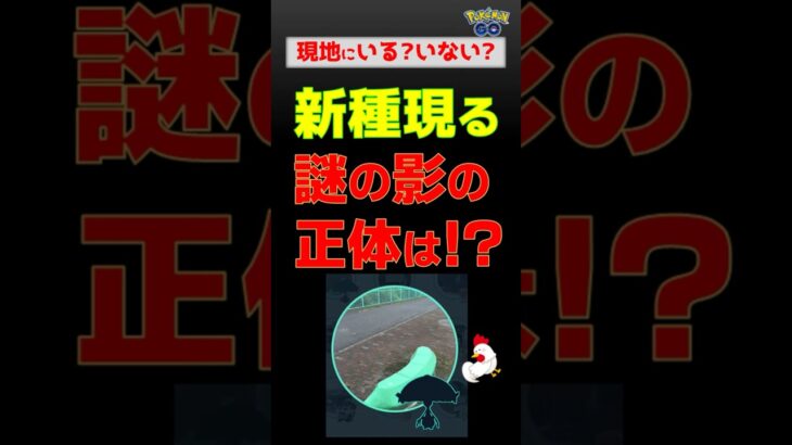 【新種！謎の黒い影を追って、急げ】 #ポケモンgo #pokemongo #ポケモン #マシェード