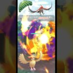 【ジャングルカップ】序盤鳥パーティ #pokemongo  #バトルリーグ #ポケモンgo #ファイアロー #ピジョット #ドデカバシ