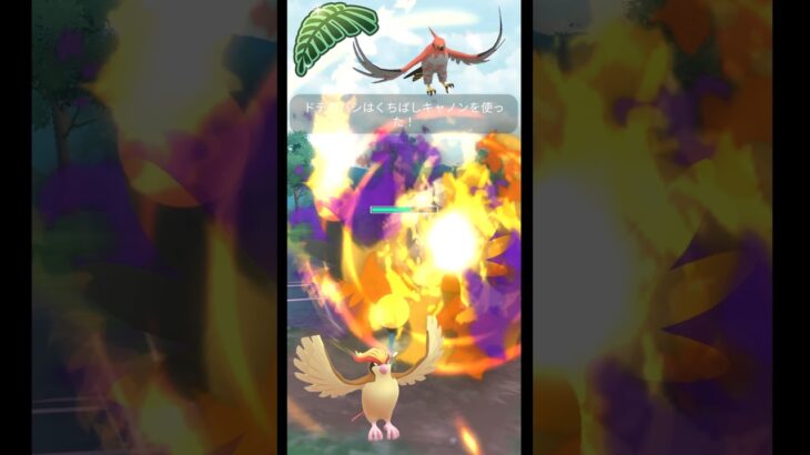 【ジャングルカップ】序盤鳥パーティ #pokemongo  #バトルリーグ #ポケモンgo #ファイアロー #ピジョット #ドデカバシ