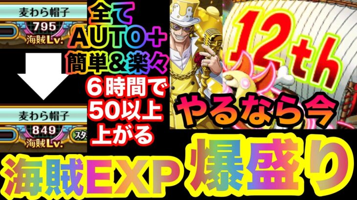 【トレクル】海賊EXP爆盛り・全てオート＋で簡単&楽々【OPTC】【ワンピース】【one piece】