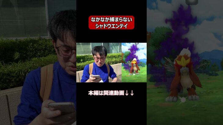 【ポケモンGO】なかなか捕まらないシャドウエンテイ #shorts #ポケモンgo #ポケモン