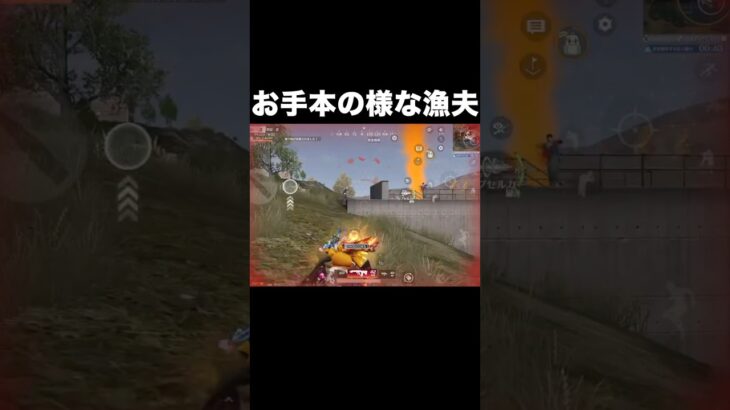 お手本の様な漁夫の利　#荒野行動