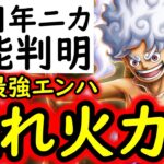 [トレクル]12周年新フェス限ルフィの性能判明! ぶっ壊れ火力すぎて頭おかしい[OPTC]