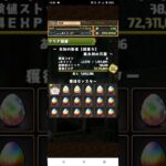 【パズドラ】ランク1440到達しました