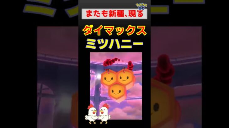 新種登場！【ダイマックス ミツハニー】 #ポケモンgo #ポケモン #pokemongo #ダイマックス #ミツハニー