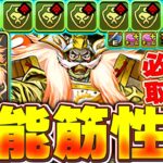新降臨！！皐月丸の性能がやばすぎる！！部位破壊武器も優秀なので必ず取ろう！！【パズドラ実況】＃パズドラ