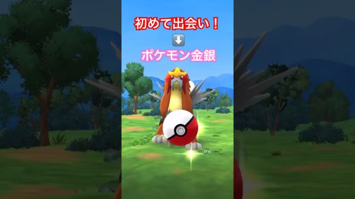 ポケモンGO【HPもっと⤴︎GOパス：4月】(ポケモン金銀)エンテイ振り返る思い出！#ポケモン #ポケモンgo #pokemongo #shorts