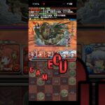 5倍…？【パズドラ】