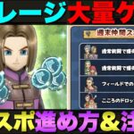 【ドラクエウォーク】明日から開催の『週末仲間スポット』について