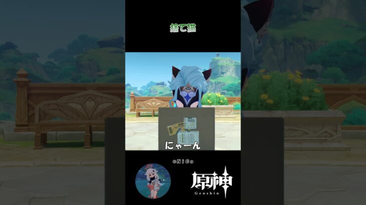 【原神】捨て猫 #原神 #原神ショート #shorts #genshinimpact #ドットーレ