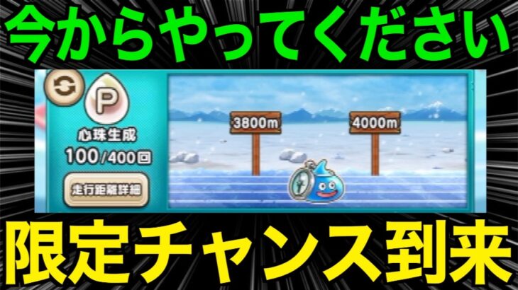 これ、絶対やってください。今だけのチャンスです【ドラクエウォーク】【ドラゴンクエストウォーク】