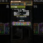 【+891同時5体育成】 #全部位破壊 #ラングローサ降臨 #パズドラ #モンポ #星を紡ぐ精霊ガチャ #魔法石 #周回編成