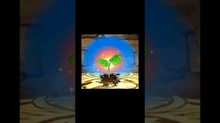 【パズドラ】ロザリンは草でした🌱#パズドラ #星を紡ぐ精霊 #冥境 #冥境チャレンジ #ロザリン