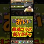 【撤収】虚はまだしも朧も出ないので銀魂コラボガチャはもう引きません #たかし #パズドラ