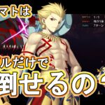 【FGO】 ティアマト戦のネイキッド・ギルガメッシュだけで攻略できるか試してみた【Fate/Grand Order】