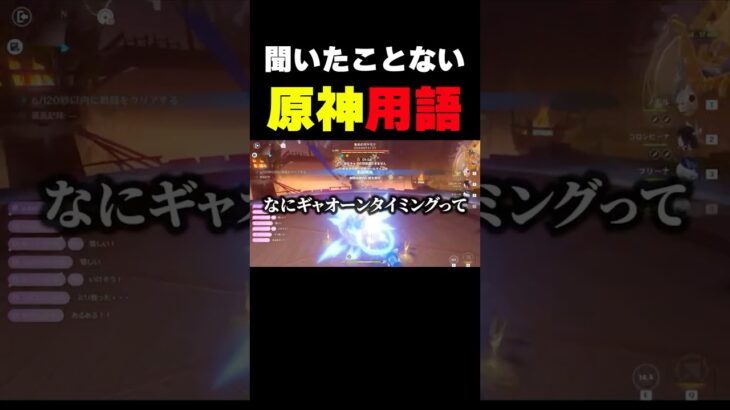 知らない用語が飛び交う幽境の激戦【原神】