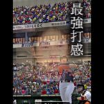 最強打線のこの男…その名も…？#そるとプロスピ #プロスピ #プロスピa #プロスピ無課金 #野球 #野球好きな人と繋がりたい #音ハメ #ガキは出禁