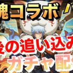 【パズドラ】金魂コラボ最後の追い込みガチャ引く配信/ヤメ〜こまる【銀魂コラボ】