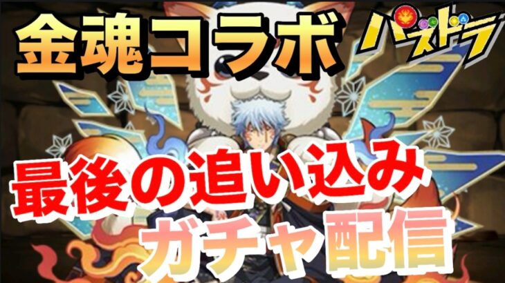 【パズドラ】金魂コラボ最後の追い込みガチャ引く配信/ヤメ〜こまる【銀魂コラボ】