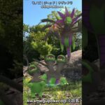 モノズ｜Deino｜ジヘッド｜Zweilous｜サザンドラ｜Hydreigon｜Shiny Pokémon｜GOphotobomb【ポケモンGO】AR動画｜PoKeMoN GO AR｜#Shorts
