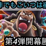 [トレクル]12周年超スゴフェス第4弾開幕勝負！是が非でもこのキャラは手に入れたい。そんな想いが…[OPTC][超スゴフェス][12周年]