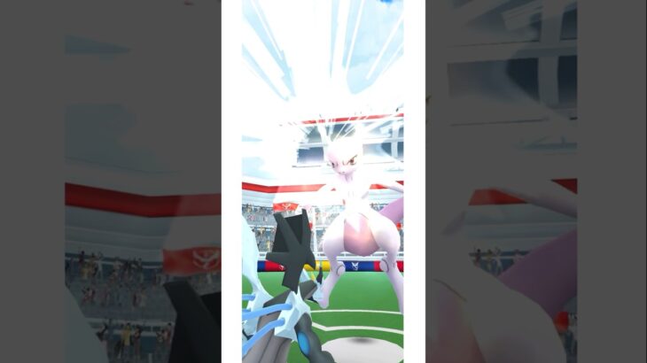 2026年5月25日　ポケモンGO　ミュウツーレイド　 #ポケモン #pokemon #ポケモンGO #ミュウツー