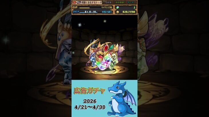 [パズドラ]  広告ガチャ　2026/4/21〜4/30