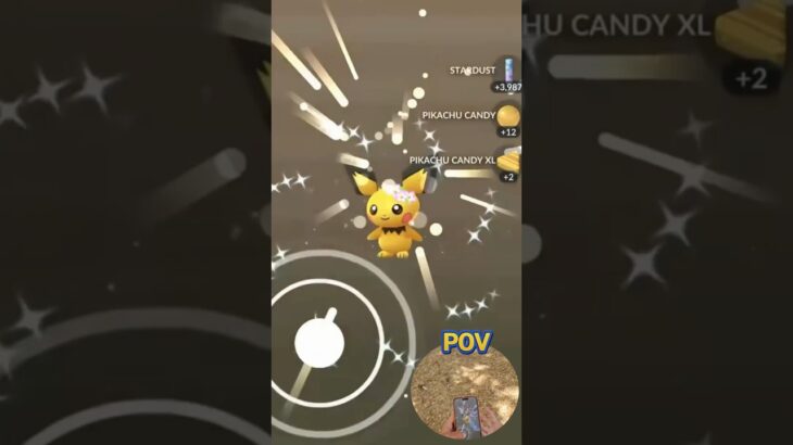 ✨I Hatched THIS SHINY COSTUME Pokemon in Pokemon Go!✨ #shorts #pokemon
