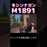 モシン・ナガンM1891近砂 #荒野行動 #荒野キル集 #shorts