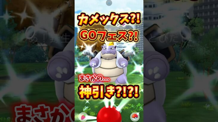 カメックス?!GOフェス?!まさかの神引き?!?!【ポケモンGO/心壊ヤミ】 #心壊ヤミ #sinkaiyami #ポケモンgo