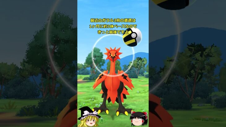 【ポケモンGO】「めくるめく記憶」シーズン最後？のガラル３鳥チャレンジの結果は…？(ガラル 3鳥チャレンジ175回目)#shorts
