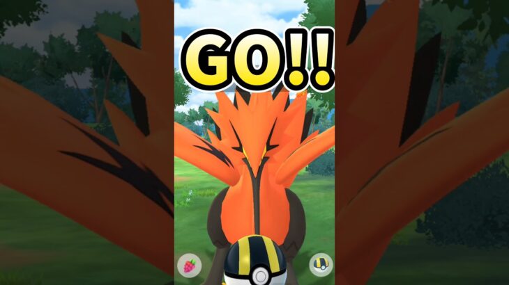 【魅せろ!】ガラル三鳥を捕獲せよ!!【ポケモンGO】
