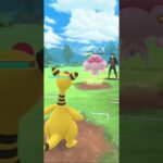 ポケモンGO コノヨザル  vs メガニウム　#ポケモンgo #pokemongo #gbl #ポケモン #ポケモンgo好きと繋がりたい