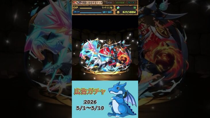 [パズドラ]  広告ガチャ　2026/5/1〜5/10