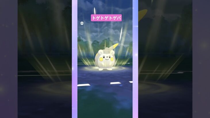 【ファンタジーカップ】トゲ×3パーティー #pokemongo  #バトルリーグ #ポケモンgo #トゲチック #トゲキッス #トゲチマル