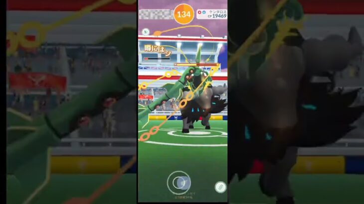 GOフェス東京の水ケンタロスレイド！ #ポケモンgo #pokemongo #ケンタロス #パルデア #goフェス #GOフェス東京