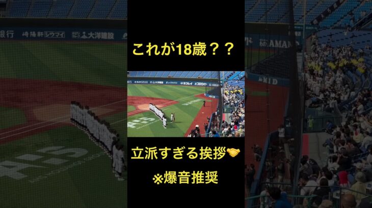 #横浜高校　#大谷翔平　#mlb  #高校野球　#プロ野球　#プロ野球スピリッツa #小野舜友